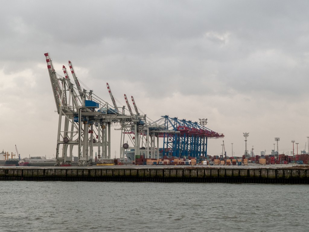 PC296168.jpg - OLYMPUS DIGITAL CAMERA