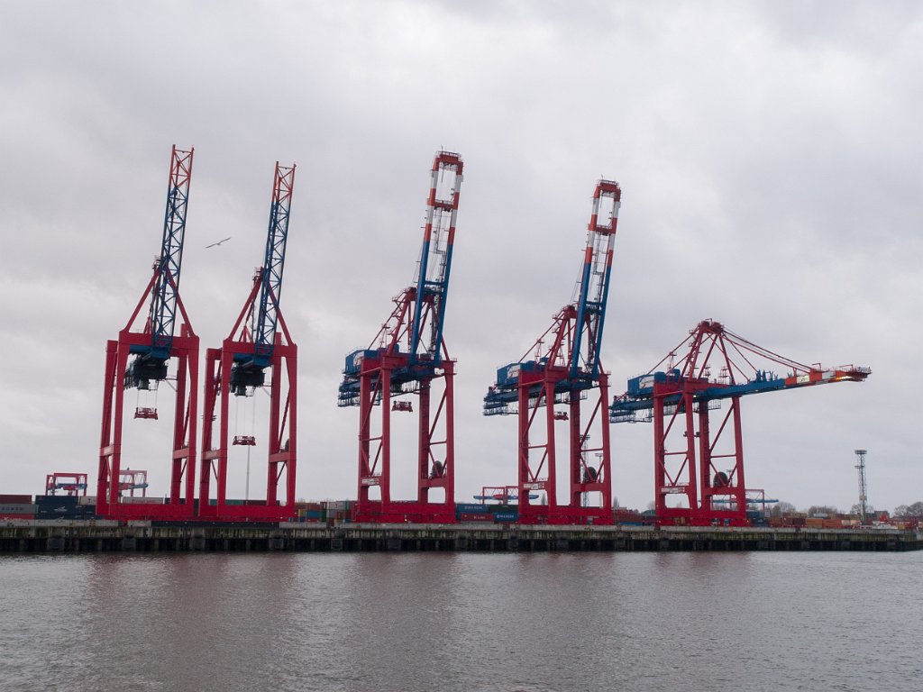 PC296217.jpg - OLYMPUS DIGITAL CAMERA