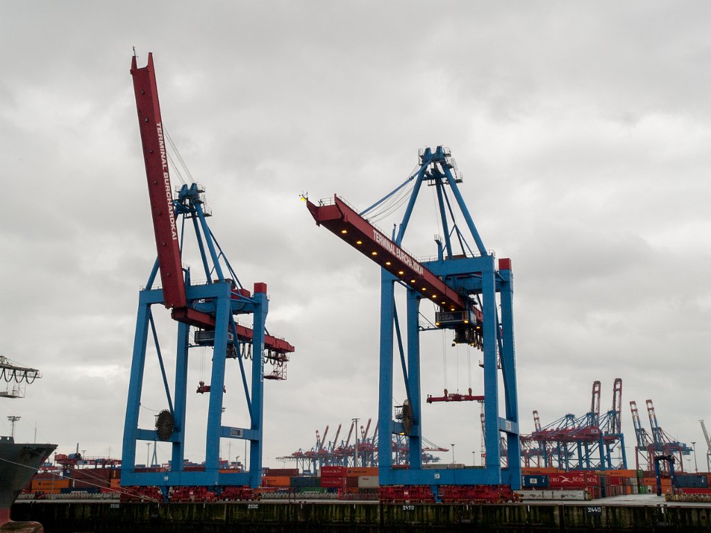 PC296238.jpg - OLYMPUS DIGITAL CAMERA