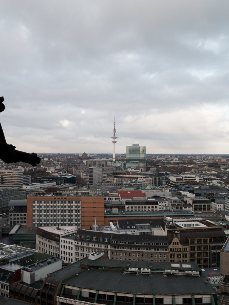 PC306469.jpg - OLYMPUS DIGITAL CAMERA