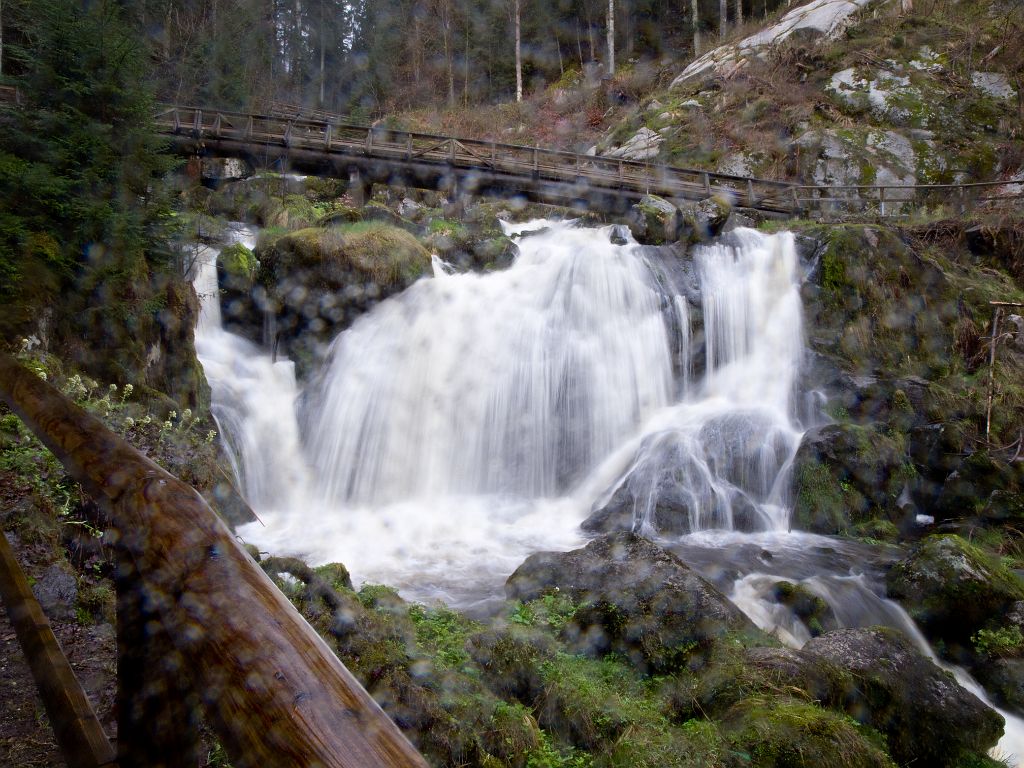 P4247200.jpg - OLYMPUS DIGITAL CAMERA