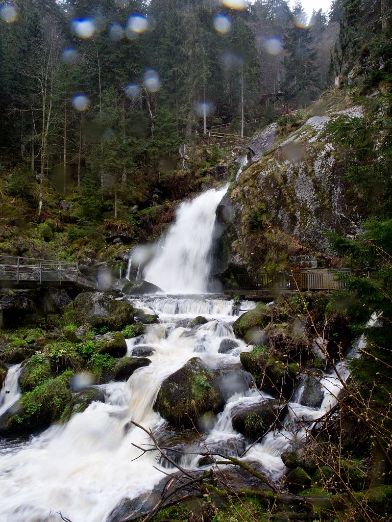 P4247229.jpg - OLYMPUS DIGITAL CAMERA