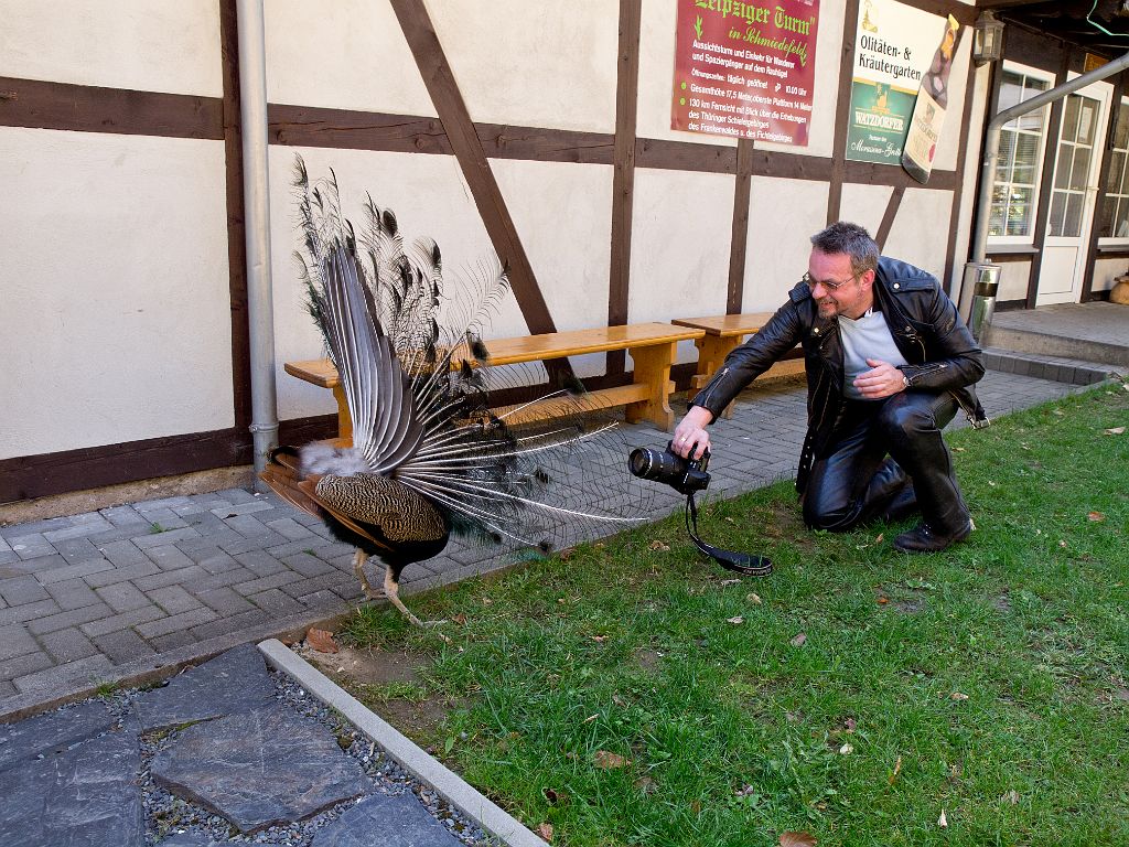 P4287394.jpg - OLYMPUS DIGITAL CAMERA