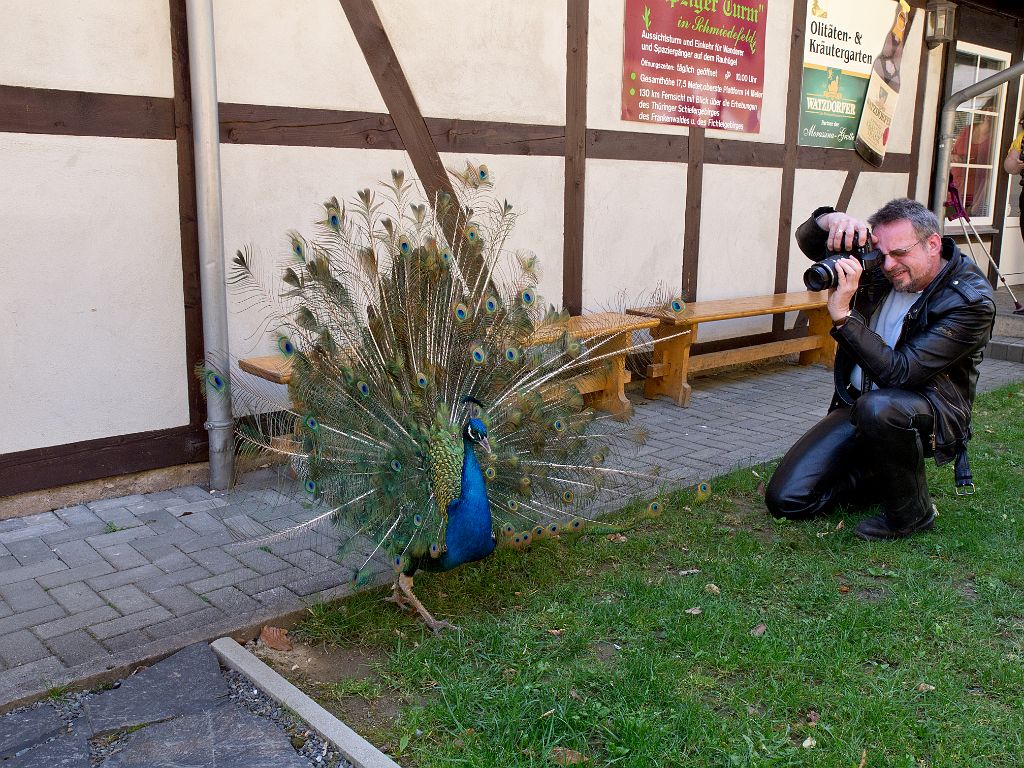 P4287398.jpg - OLYMPUS DIGITAL CAMERA