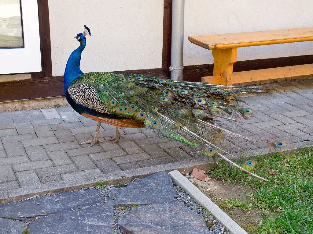 P4287406.jpg - OLYMPUS DIGITAL CAMERA