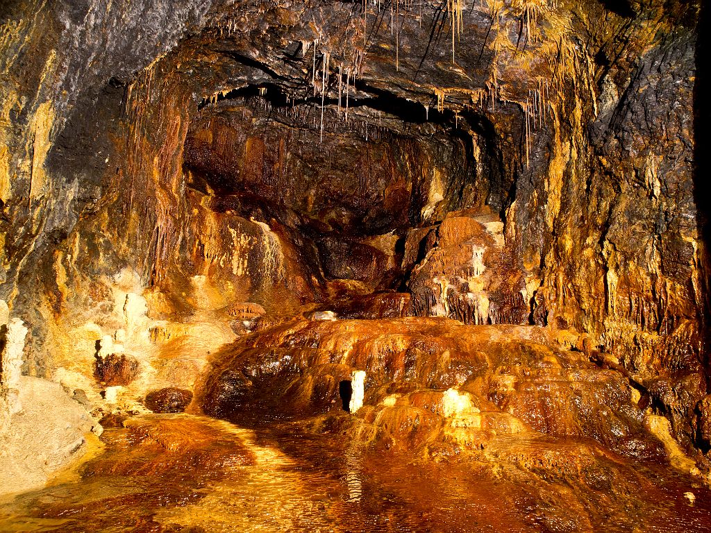 P4287447.jpg - OLYMPUS DIGITAL CAMERA