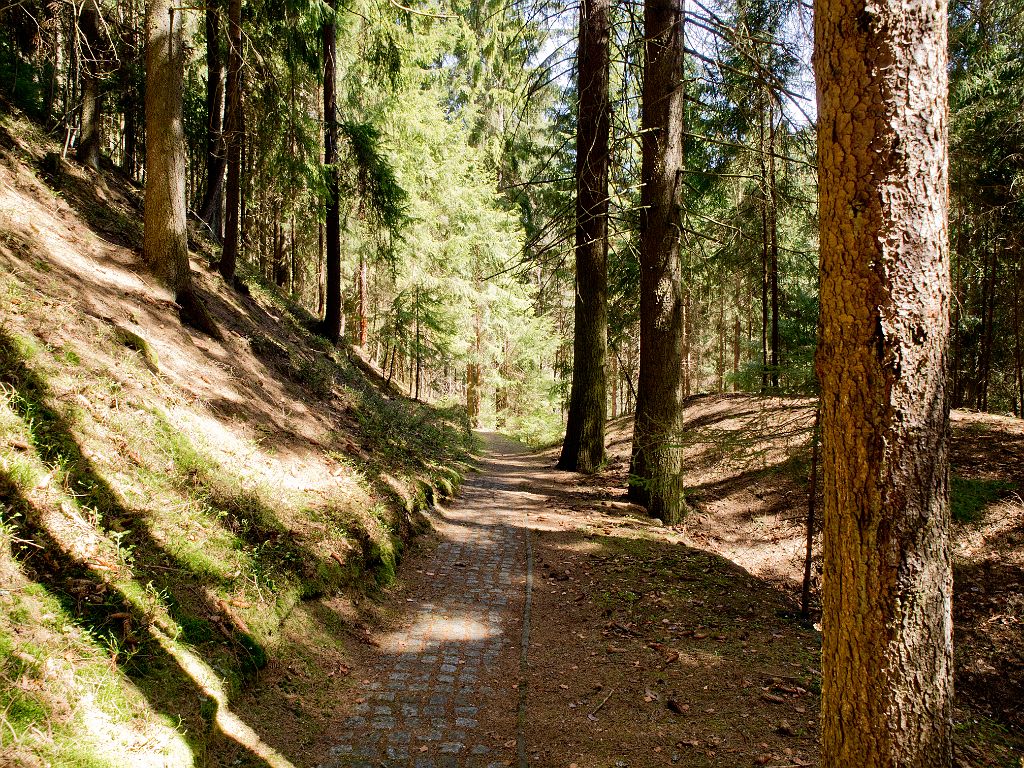 P4287473.jpg - OLYMPUS DIGITAL CAMERA