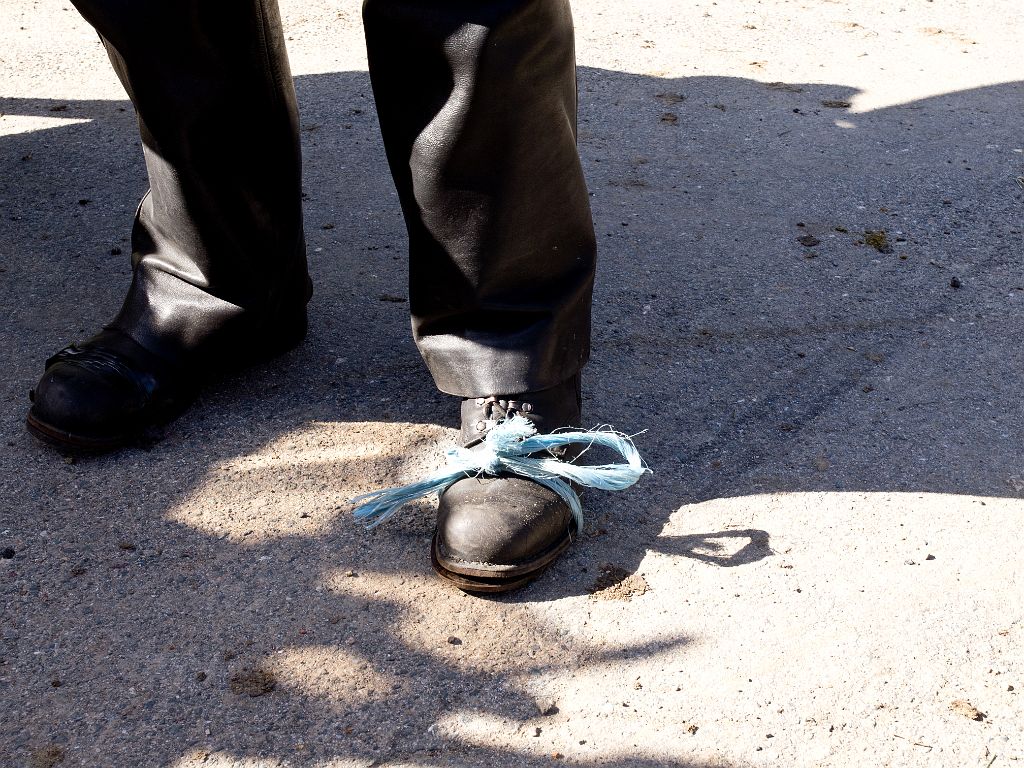 P4287523.jpg - OLYMPUS DIGITAL CAMERA