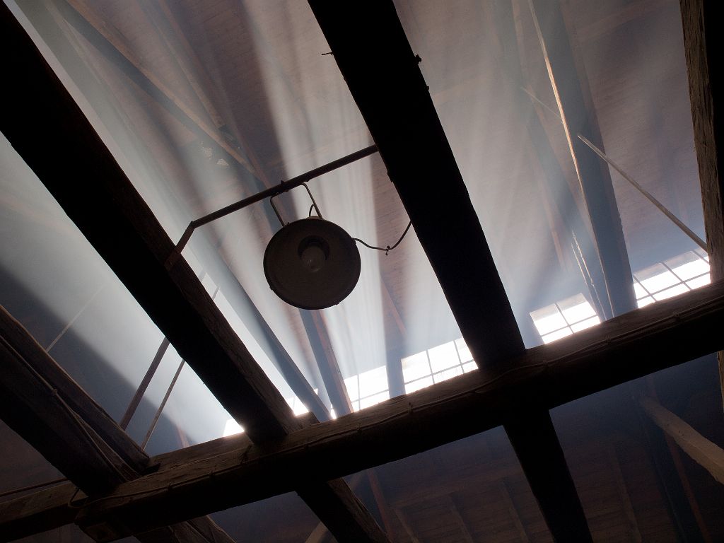 P4297543.jpg - OLYMPUS DIGITAL CAMERA