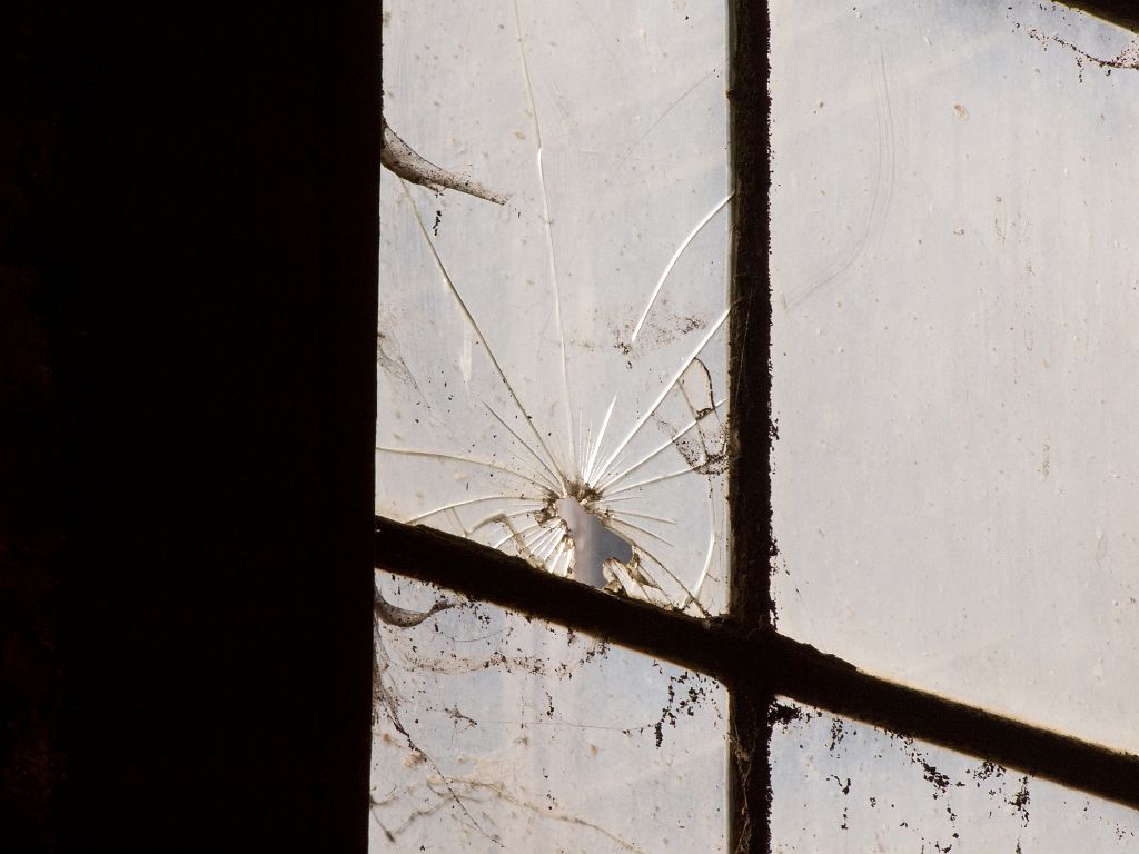 P4297579.jpg - OLYMPUS DIGITAL CAMERA