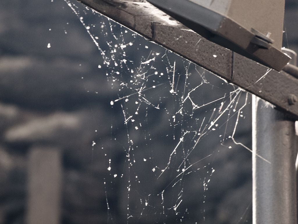 P4297604.jpg - OLYMPUS DIGITAL CAMERA