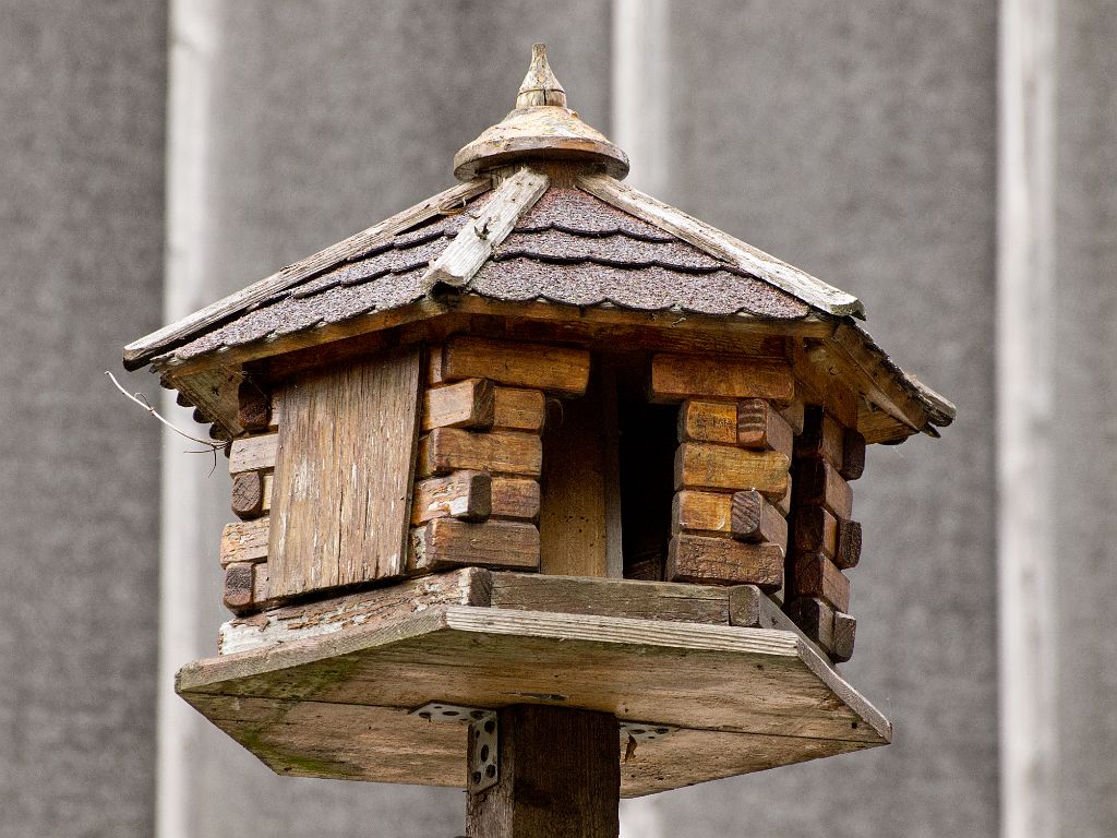 P4297887.jpg - OLYMPUS DIGITAL CAMERA