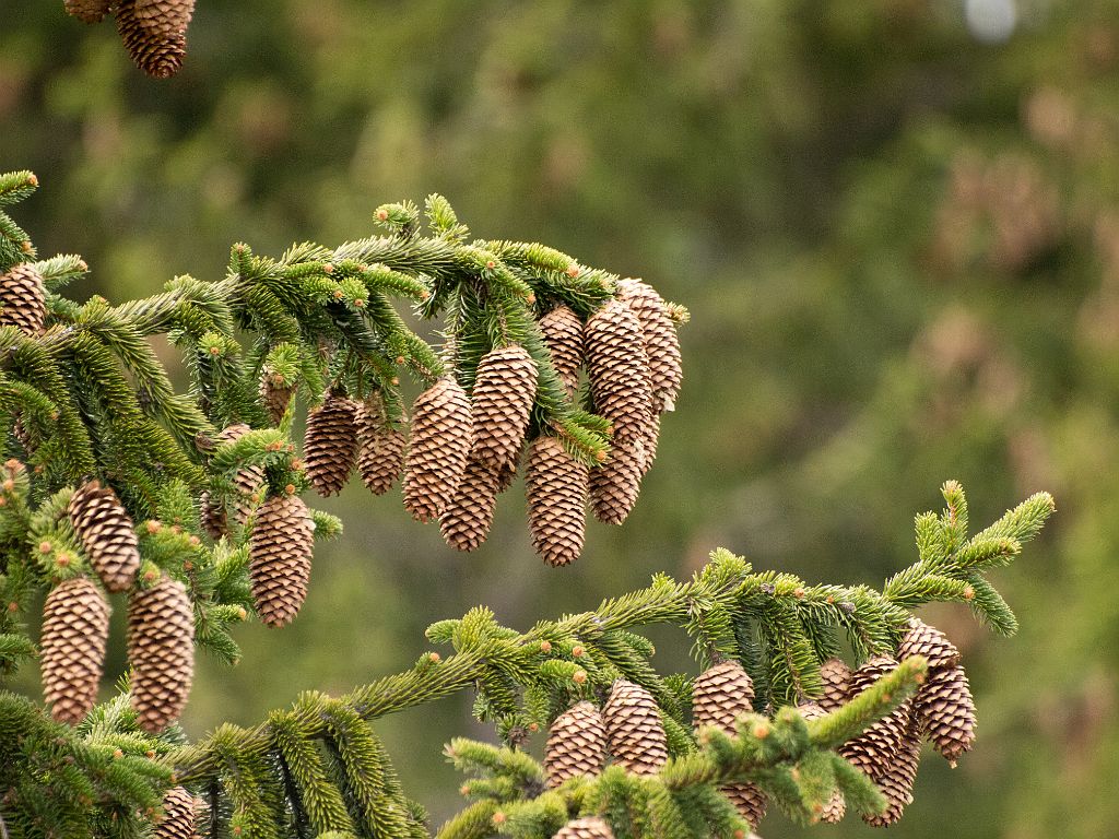 P4297920.jpg - OLYMPUS DIGITAL CAMERA