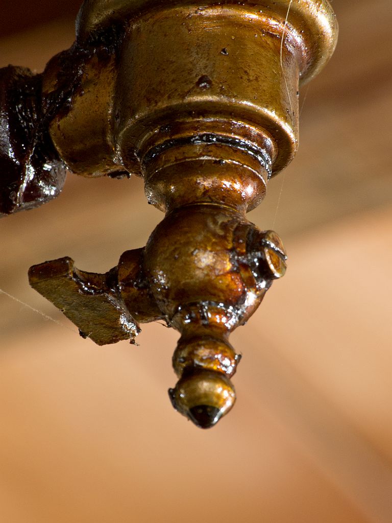 P4308092.jpg - OLYMPUS DIGITAL CAMERA