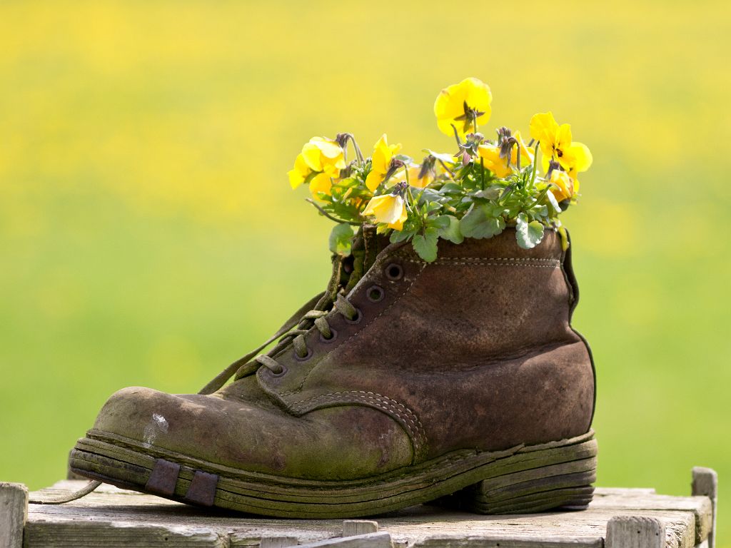 P4308107.jpg - OLYMPUS DIGITAL CAMERA