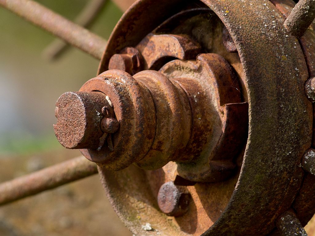 P4308112.jpg - OLYMPUS DIGITAL CAMERA