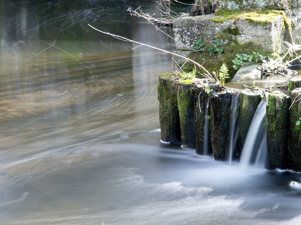 P4308153.jpg - OLYMPUS DIGITAL CAMERA