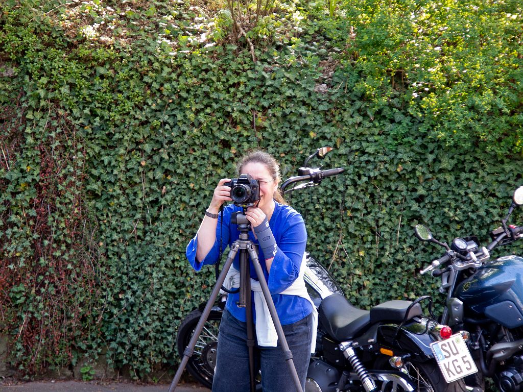 P5018185.jpg - OLYMPUS DIGITAL CAMERA