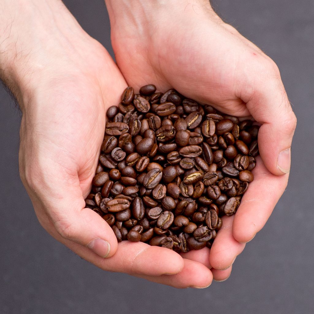 P5018249.jpg - OLYMPUS DIGITAL CAMERA