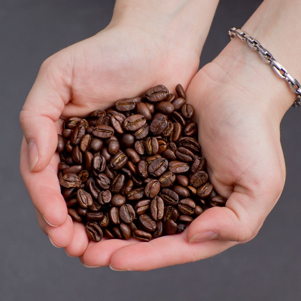 P5018300.jpg - OLYMPUS DIGITAL CAMERA