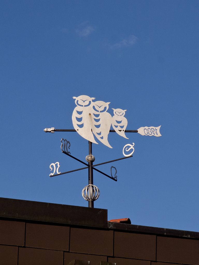 P5028445.jpg - OLYMPUS DIGITAL CAMERA