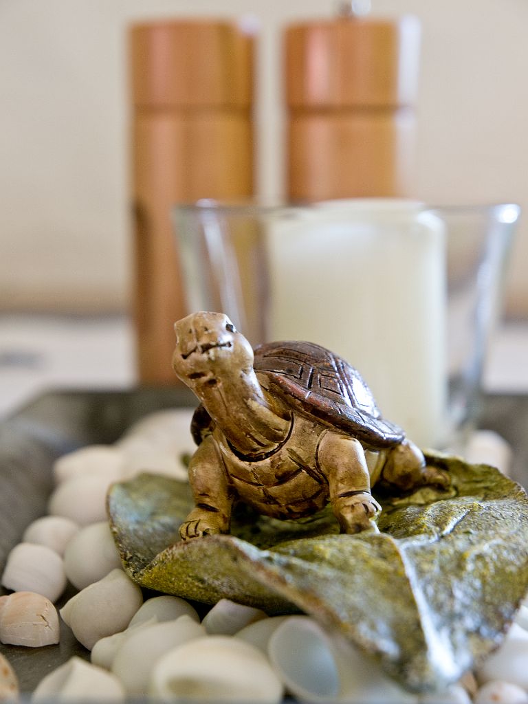 P5028459.jpg - OLYMPUS DIGITAL CAMERA