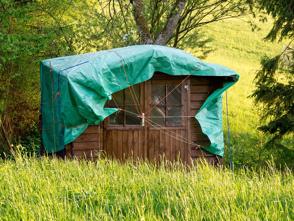 P5028479.jpg - OLYMPUS DIGITAL CAMERA