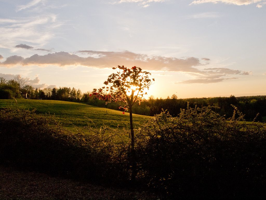 P5028499.jpg - OLYMPUS DIGITAL CAMERA