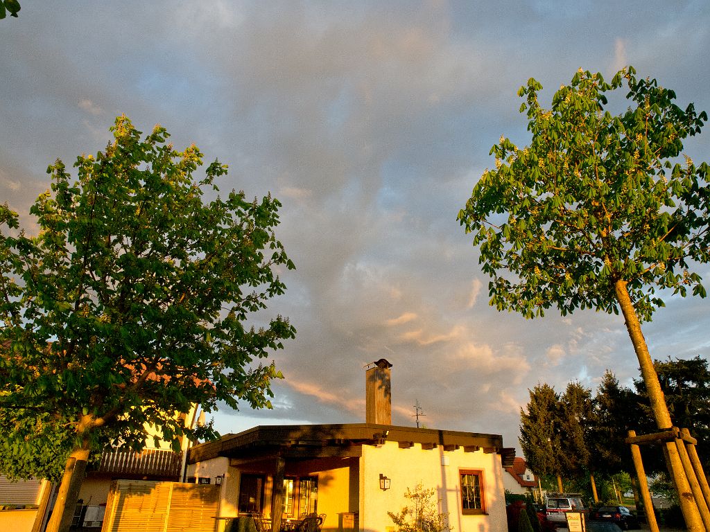 P5028508.jpg - OLYMPUS DIGITAL CAMERA