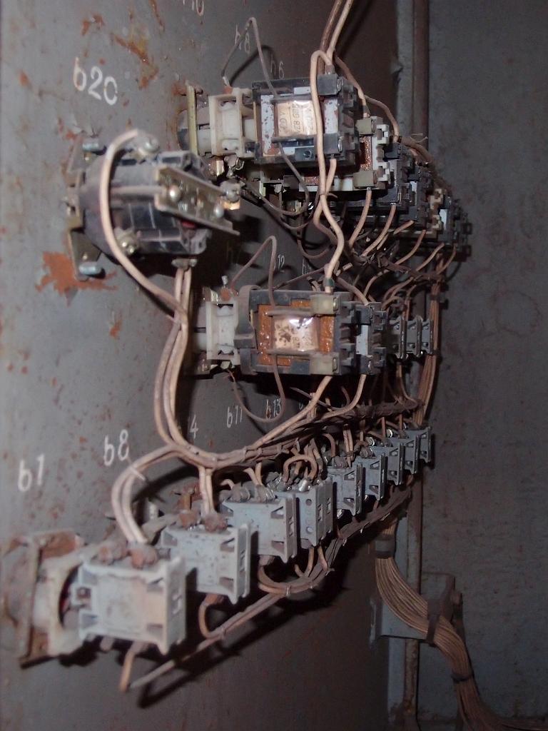 P4301476.jpg - OLYMPUS DIGITAL CAMERA