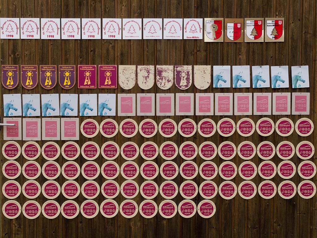 P5015307.jpg - OLYMPUS DIGITAL CAMERA