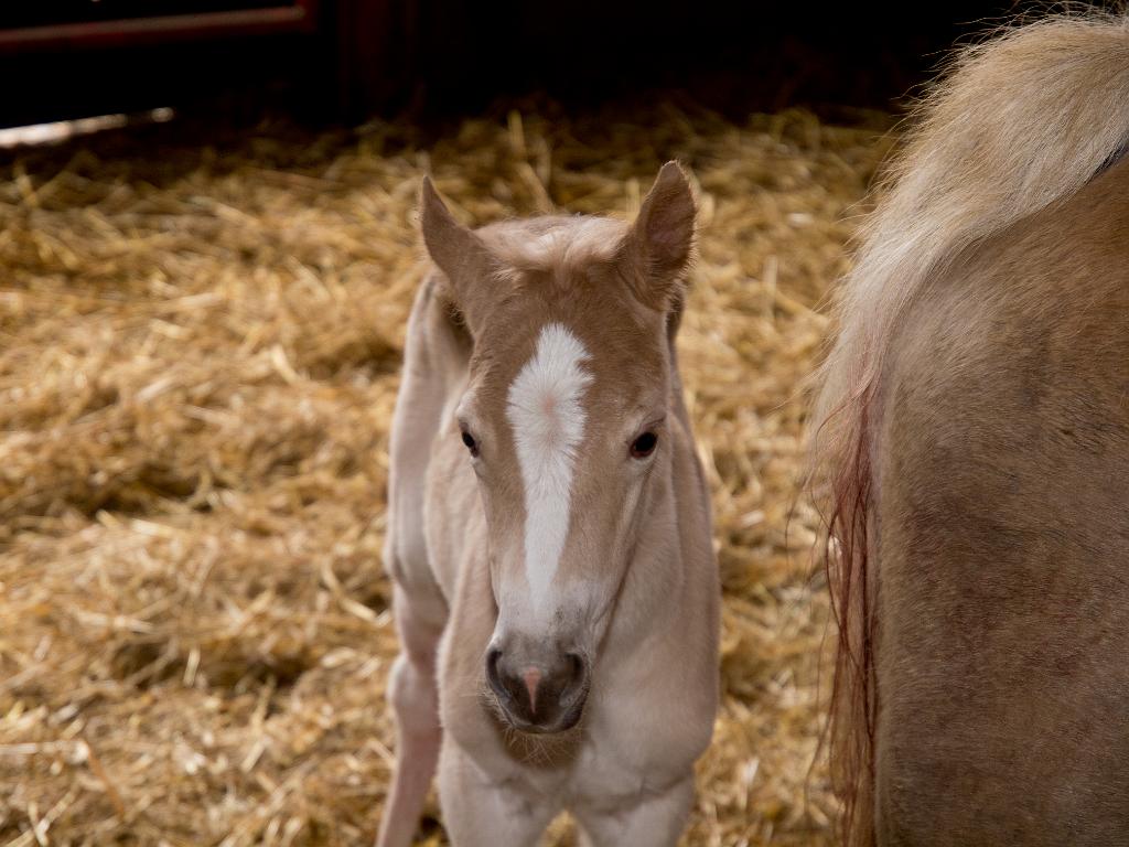 P5015313.jpg - OLYMPUS DIGITAL CAMERA