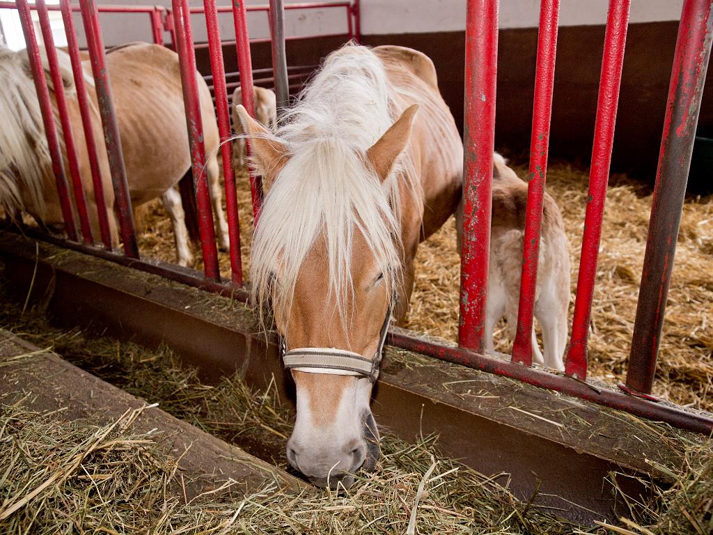 P5015317.jpg - OLYMPUS DIGITAL CAMERA