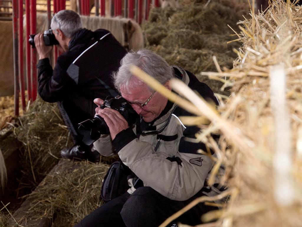 P5015327.jpg - OLYMPUS DIGITAL CAMERA