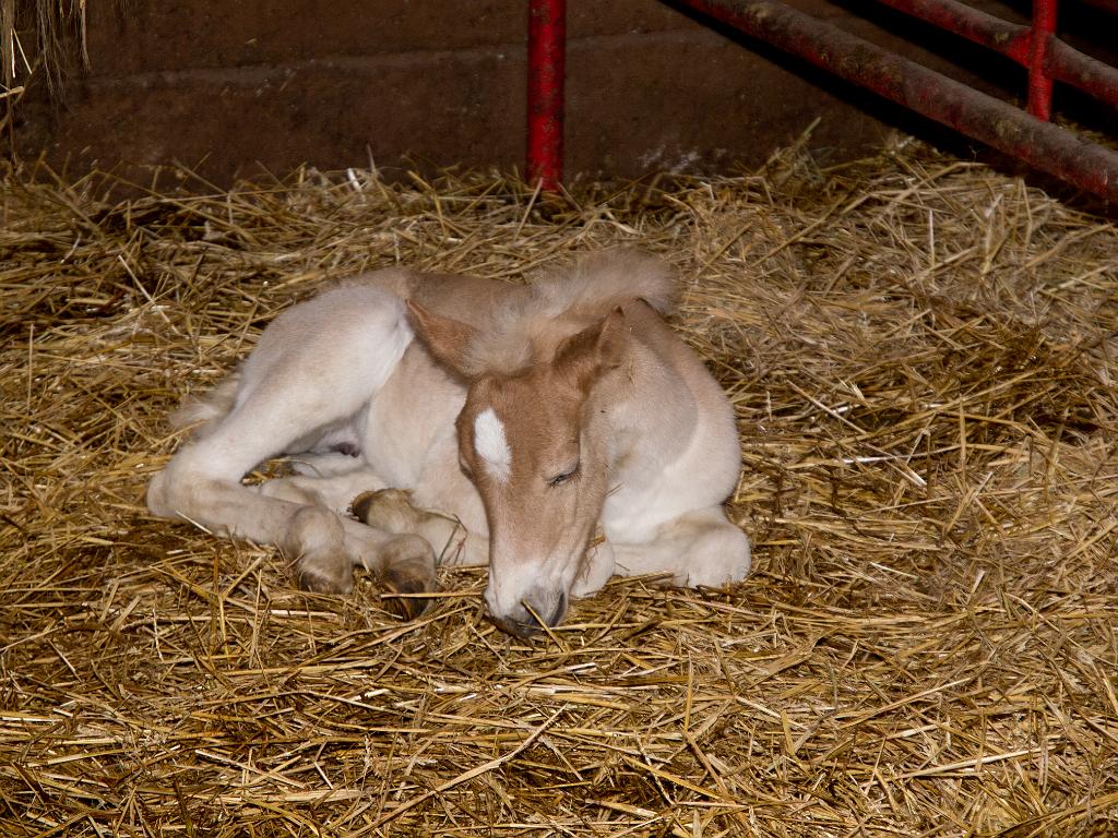 P5015330.jpg - OLYMPUS DIGITAL CAMERA