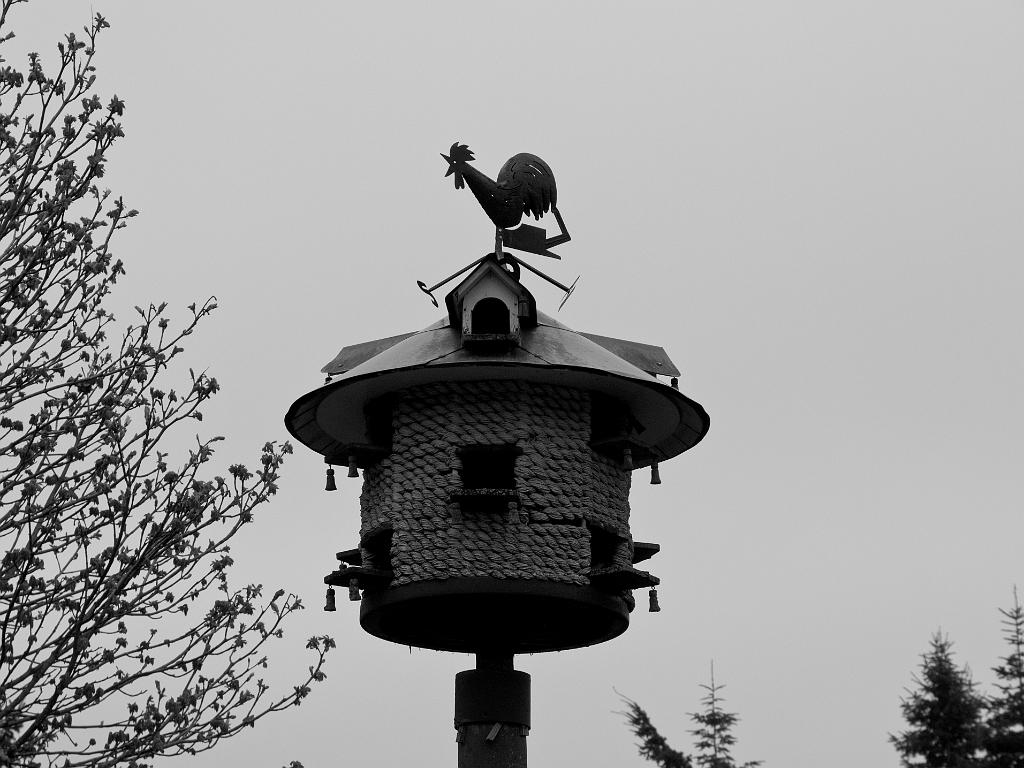 P5015361.jpg - OLYMPUS DIGITAL CAMERA