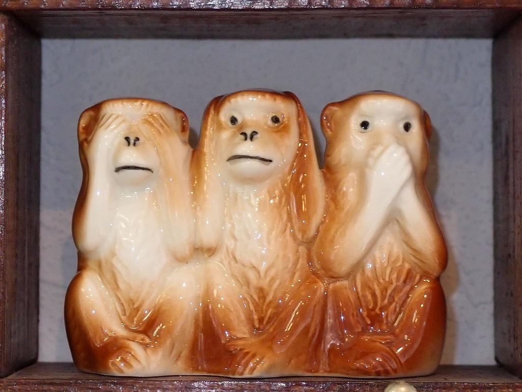 P5031527.jpg - OLYMPUS DIGITAL CAMERA