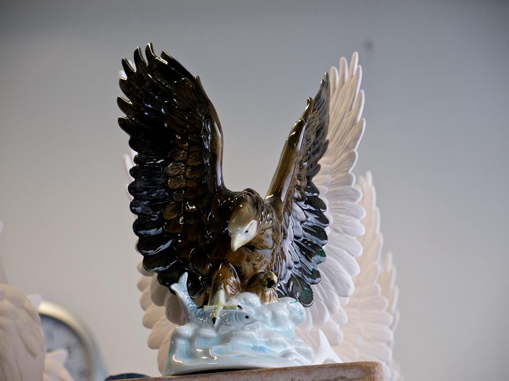 P5035678.jpg - OLYMPUS DIGITAL CAMERA