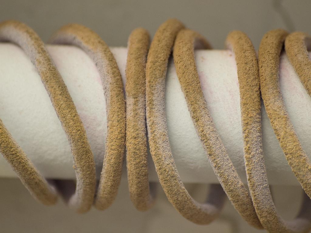 P5035690.jpg - OLYMPUS DIGITAL CAMERA