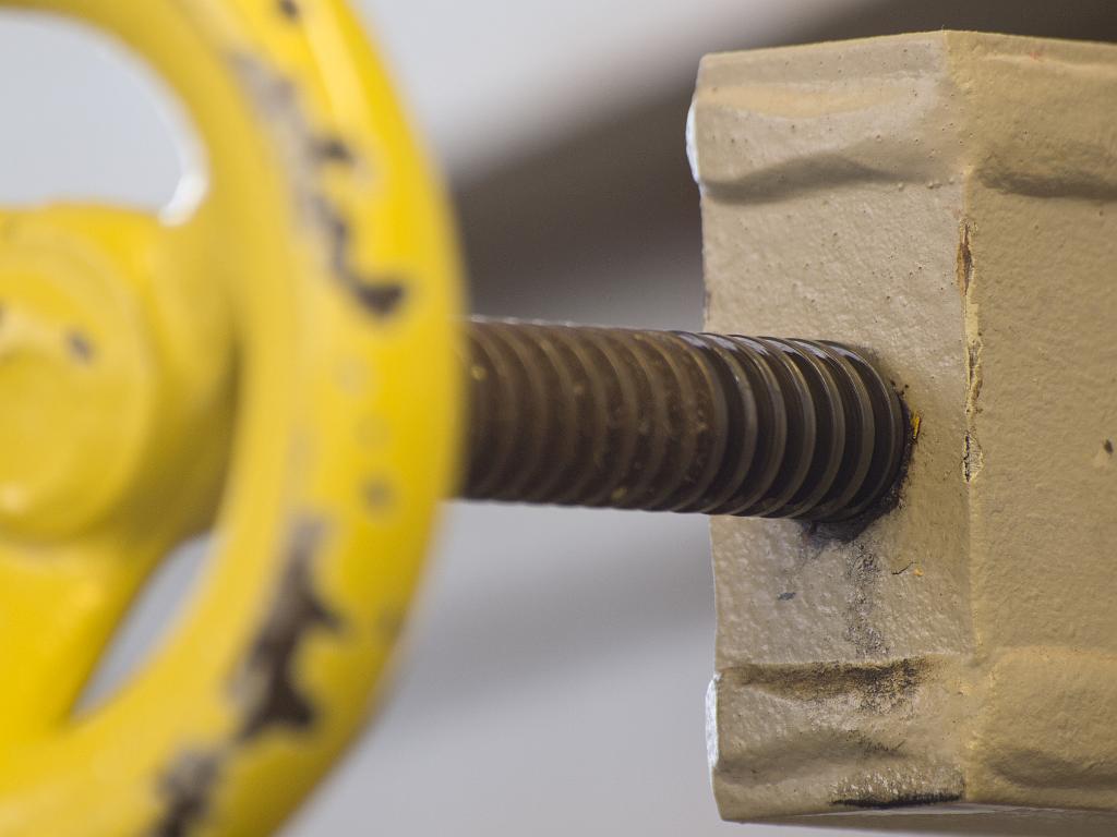 P5035692.jpg - OLYMPUS DIGITAL CAMERA