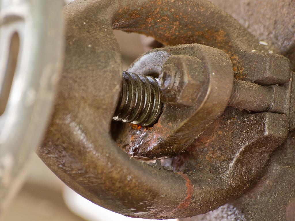 P5035746.jpg - OLYMPUS DIGITAL CAMERA