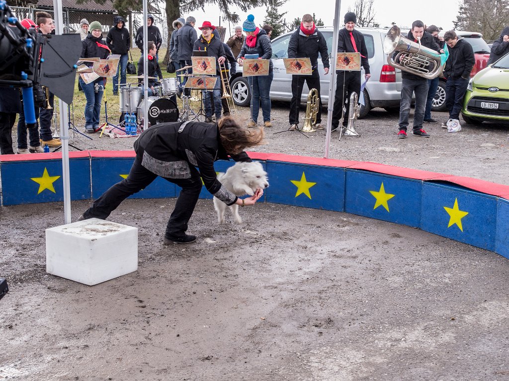 P2098476.jpg - OLYMPUS DIGITAL CAMERA