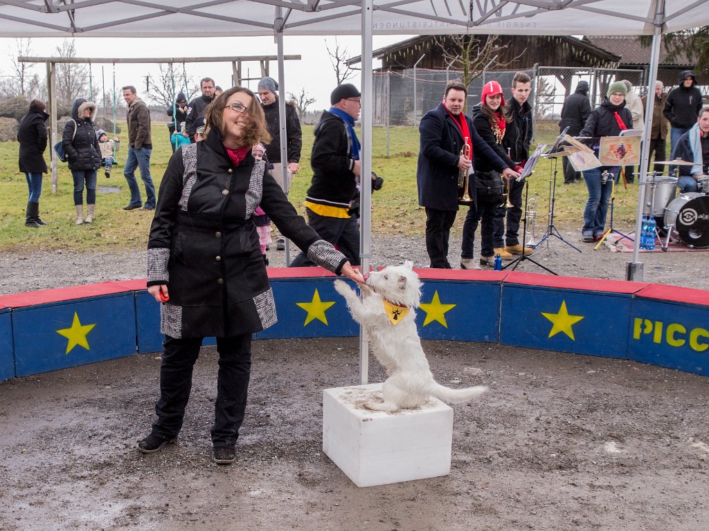 P2098485.jpg - OLYMPUS DIGITAL CAMERA