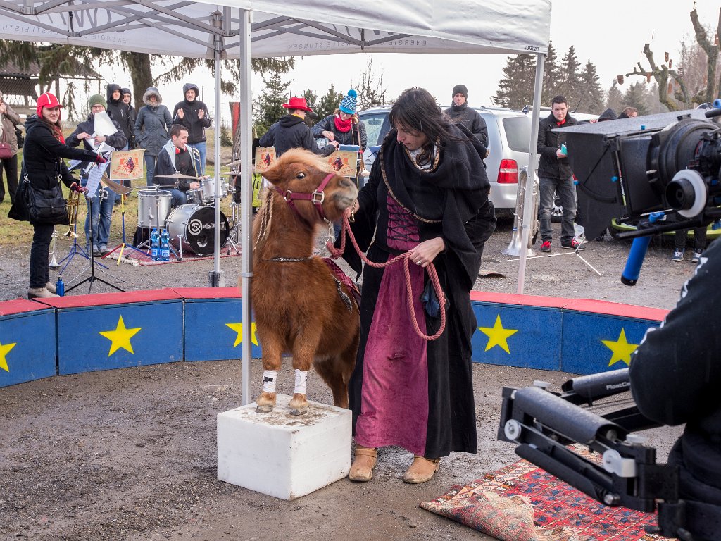 P2098511.jpg - OLYMPUS DIGITAL CAMERA