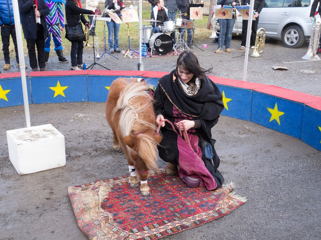 P2098521.jpg - OLYMPUS DIGITAL CAMERA