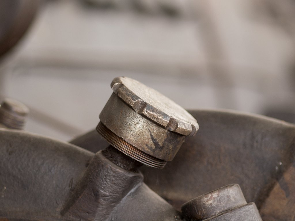 P5012466.jpg - OLYMPUS DIGITAL CAMERA