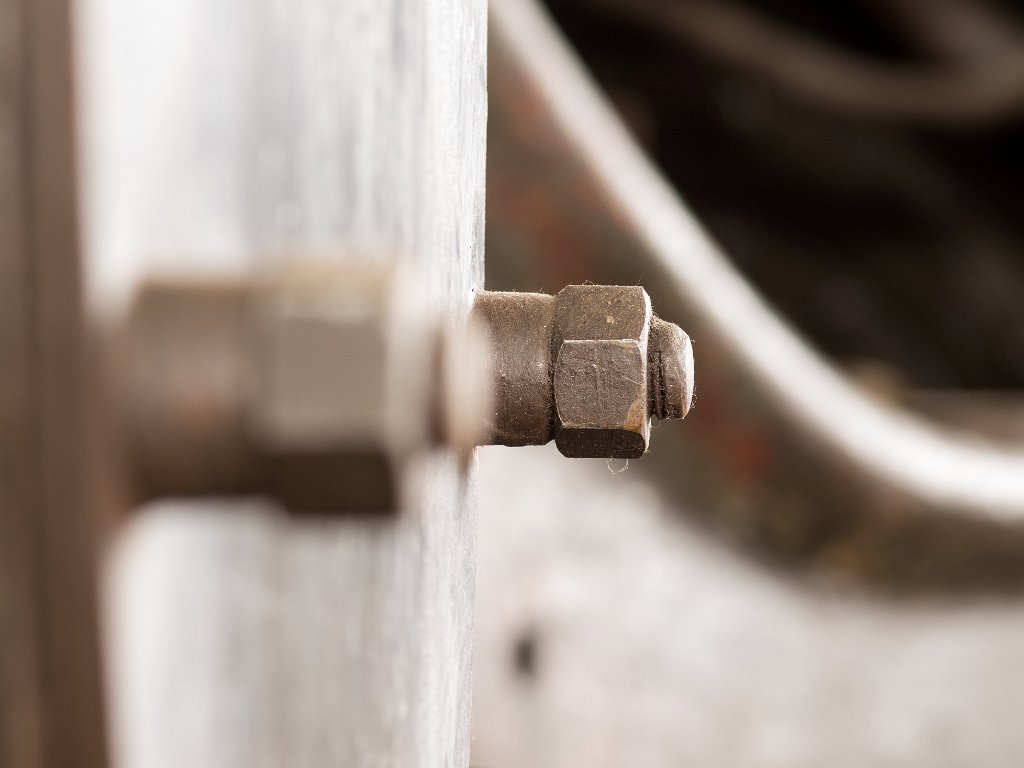 P5012485.jpg - OLYMPUS DIGITAL CAMERA