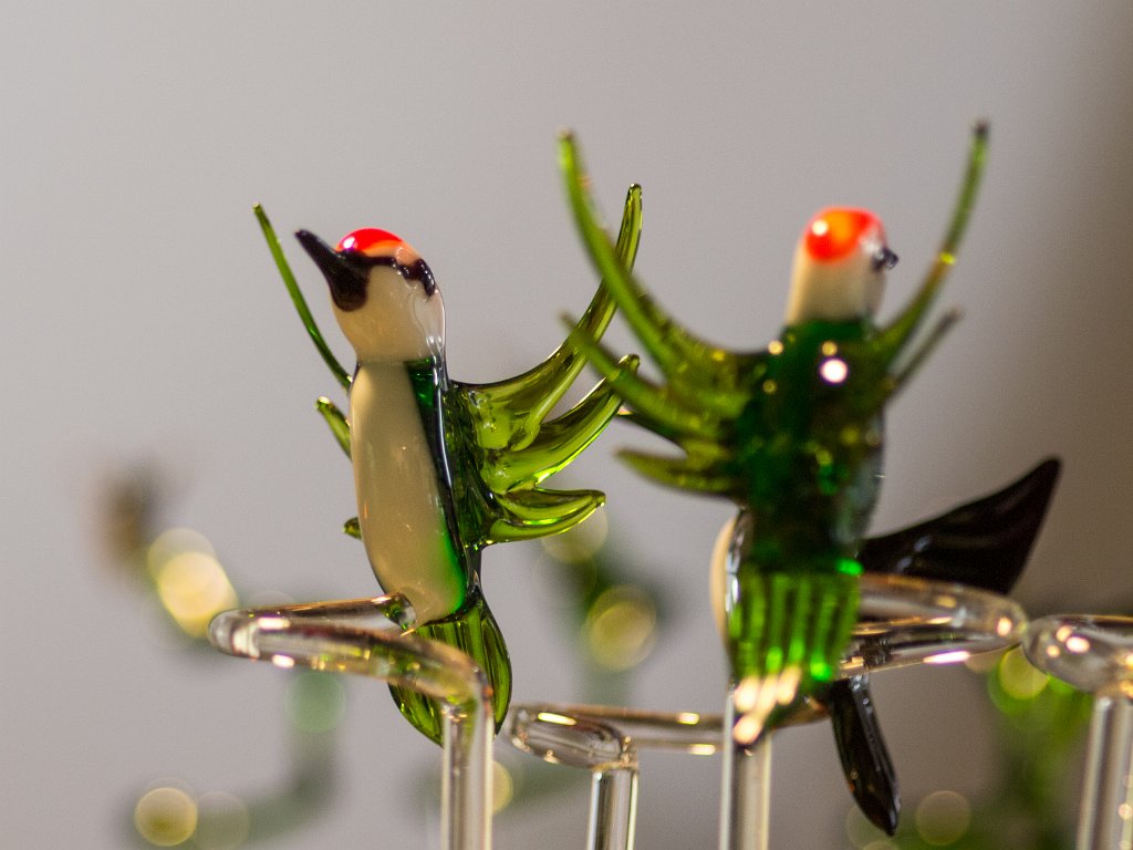 P5012575.jpg - OLYMPUS DIGITAL CAMERA