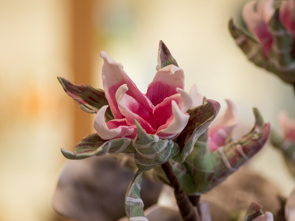 P5012589.jpg - OLYMPUS DIGITAL CAMERA