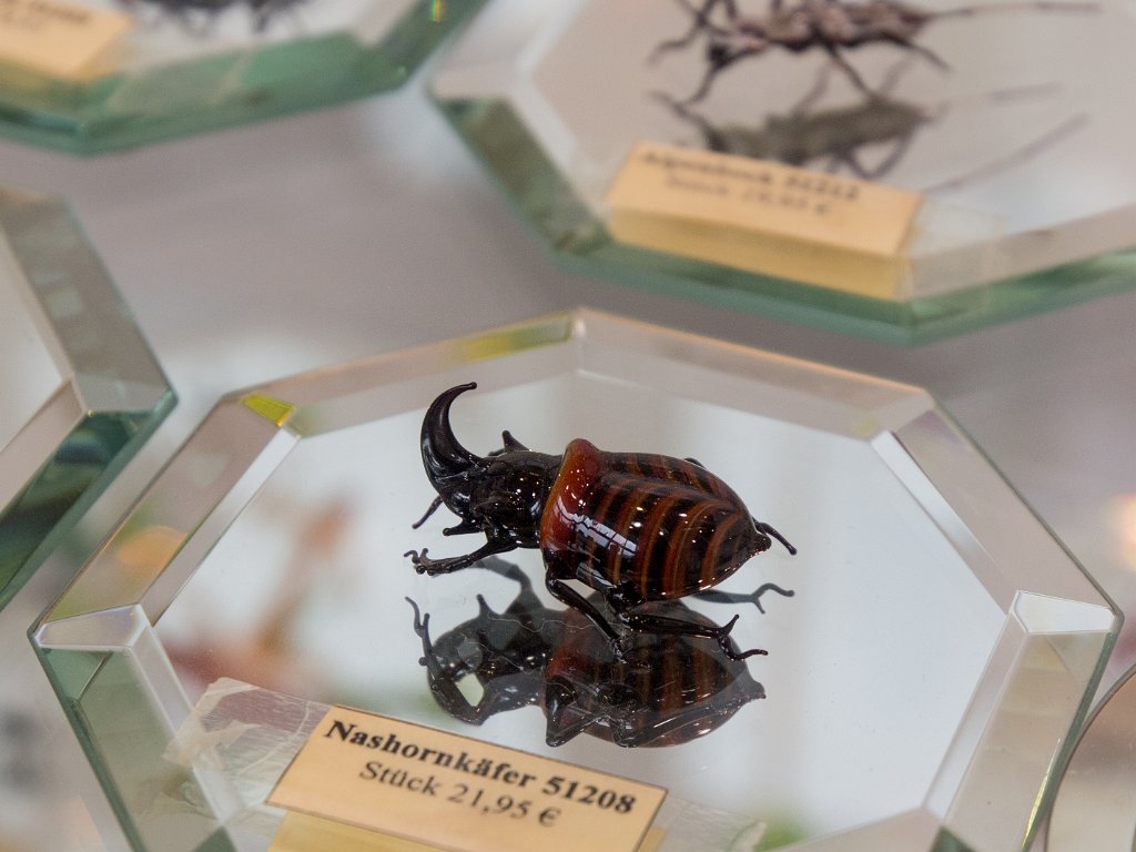 P5012599.jpg - OLYMPUS DIGITAL CAMERA